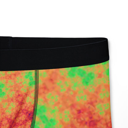 rainbow Men's Boxers (AOP)